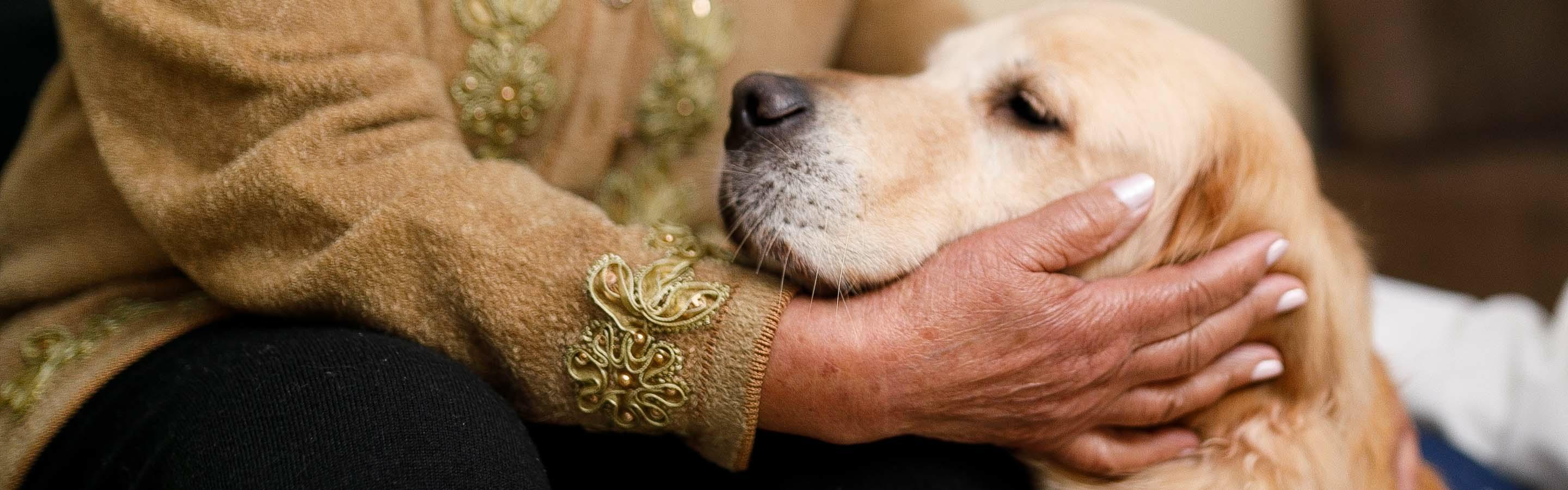 Seniors and pets – a great relationship